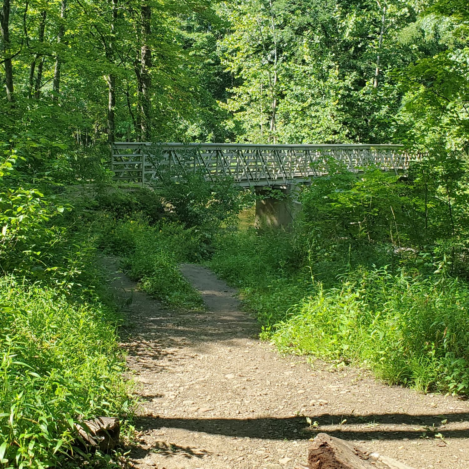 Stanford and Brandywine Gorge Trails 